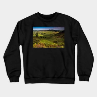 Fryupdale Crewneck Sweatshirt